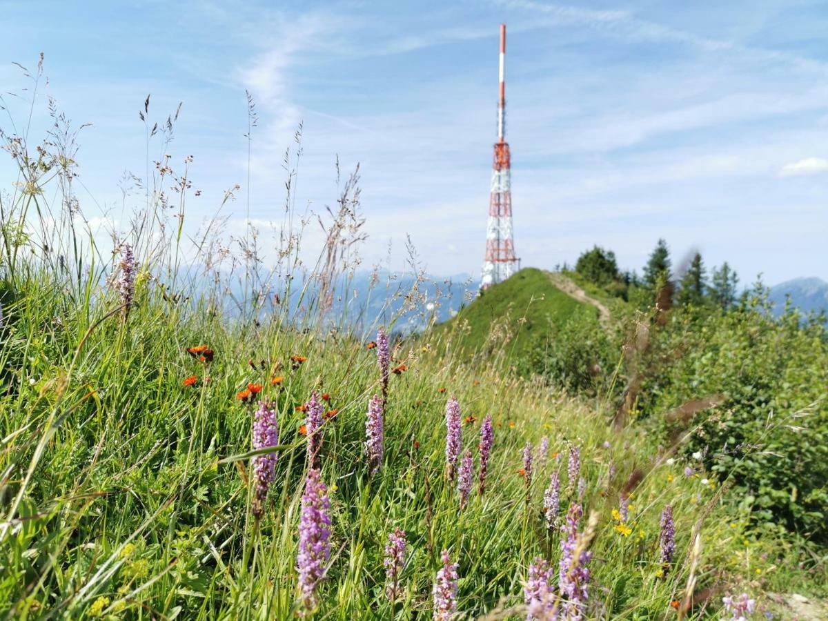 Ferienwohnung Am Eichwald Immenstadt im Allgäu Exteriér fotografie
