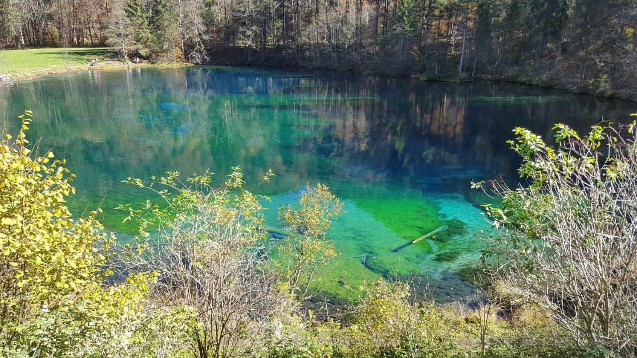 Ferienwohnung Am Eichwald Immenstadt im Allgäu Exteriér fotografie